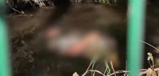 Hallan cuerpo en canal de riego en Ixmiquilpan