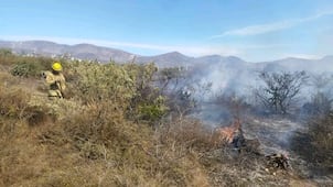 Suman más de 25 incendios en el Valle del Mezquital en las últimas semanas