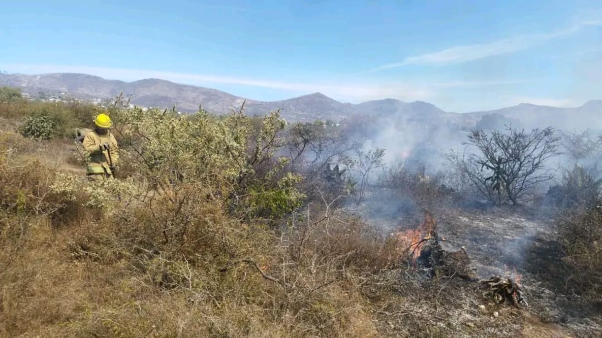 Durante los primeros meses del año incrementan los incendios, principalmente por las quemas agrícolas que realizan los productores para preparar sus terrenos para la siembra.