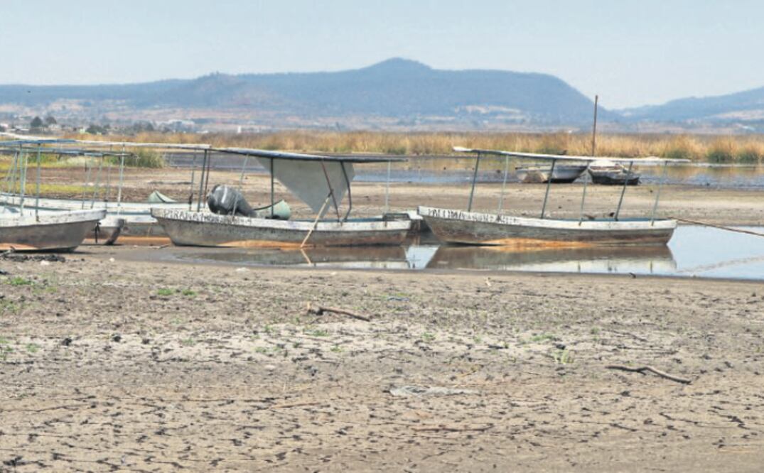 Foto: Juan Carlos Villegas