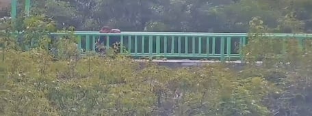 Policías evitan que una persona se arroje de puente en Tulancingo