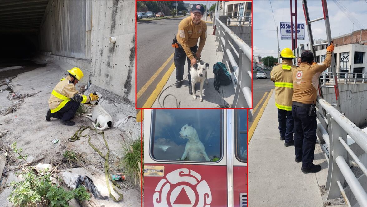 Foto: Protección Civil