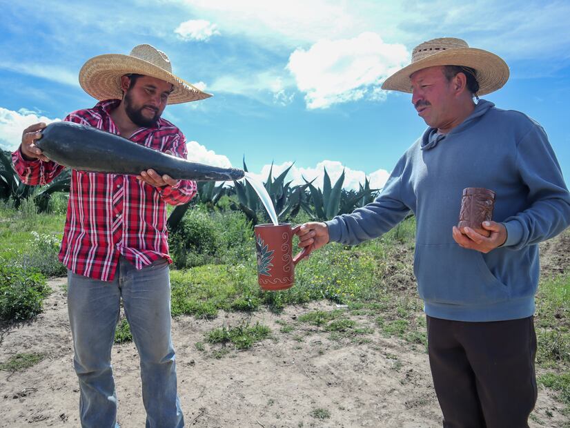 Tlachiqueros de Jalapilla: el arte del pulque y la vida entre magueyes | Foto: Josué Ortiz