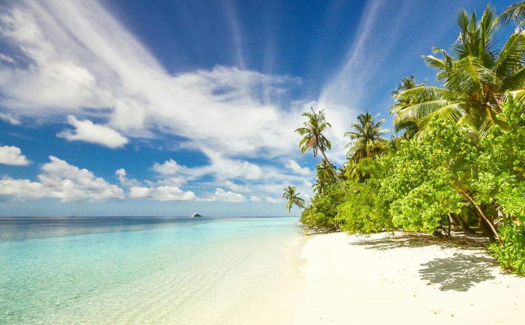 Algunas playas de México destacan por su nivel de excelencia en limpieza. Foto: Pexels