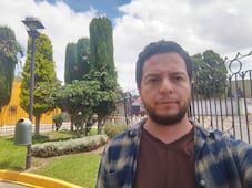 Pino pátula destaca por su capacidad para regular el calor en las ciudades: UAEH