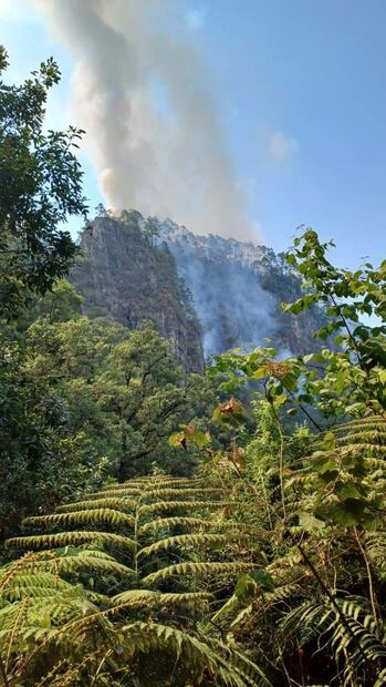 Se registra incendio forestal en Tenango de Doria | Foto: Especial