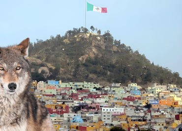 Zona de Preservación Ecológica Cerro del Lobo, más que un parque