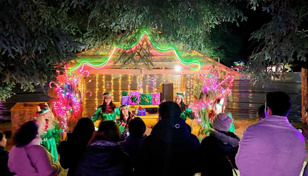 Foto: Bosque iluminado 2023