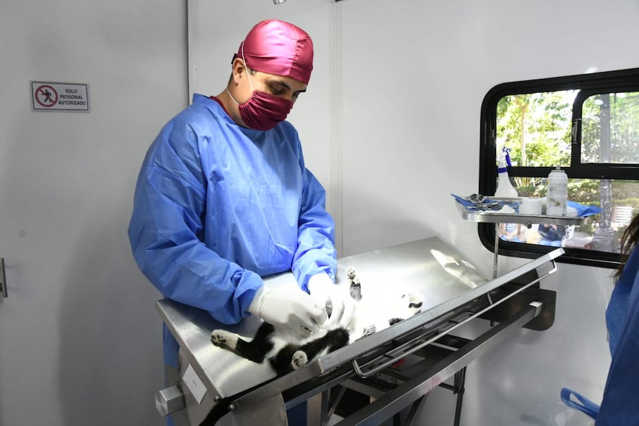 Nuevo consultorio móvil y unidad de rescate refuerzan atención animal en Tulancingo | Foto: ayuntamiento de Tulancingo