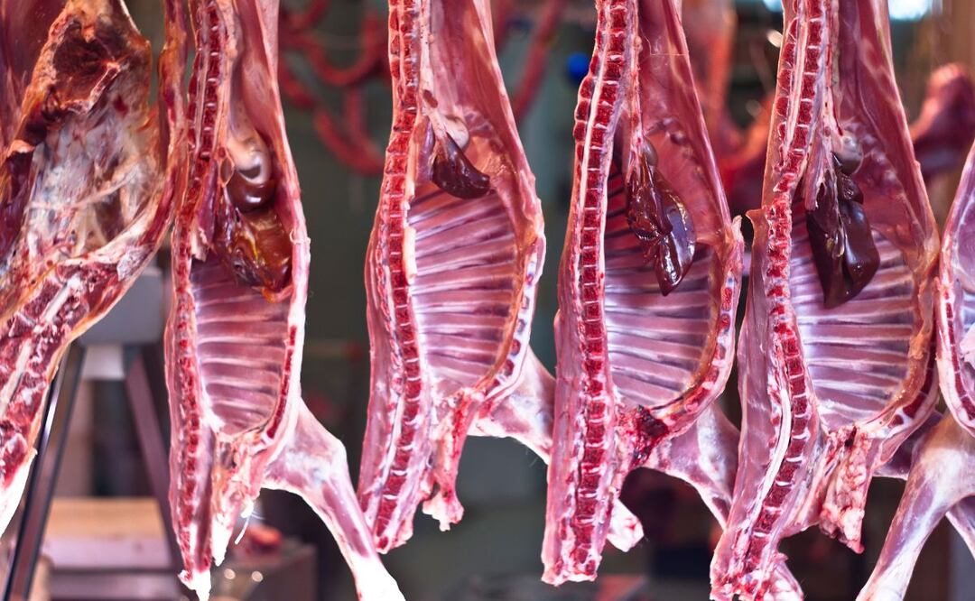 Carnicerías deberán vender solo carne con sello del rastro municipal en Tulancingo | Imagen ilustrativa