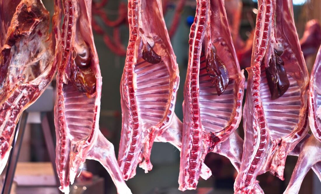 Carnicerías deberán vender solo carne con sello del rastro municipal en Tulancingo | Imagen ilustrativa