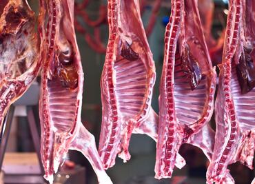 Carnicerías deberán vender solo carne con sello del rastro municipal en Tulancingo