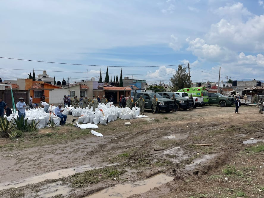 Foto: Marco Carrillo