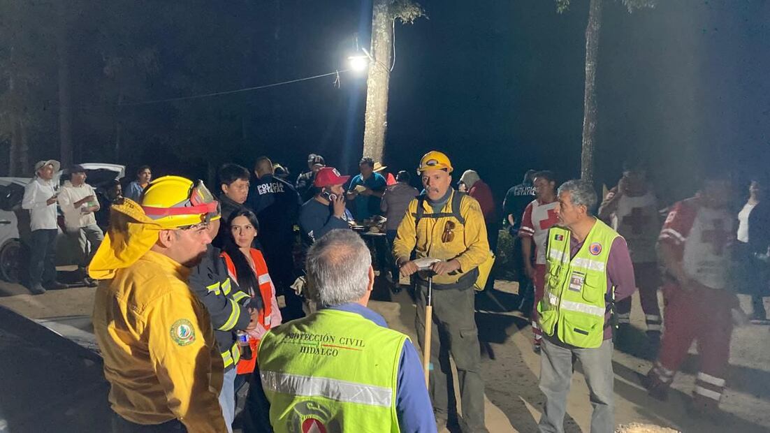 Controlado en un 70% el incendio forestal en Parque Nacional El Chico | Foto: Especial