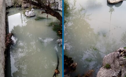 Manantial de Cuautepec emana agua sucia; vecinos alertaron de posible contaminación