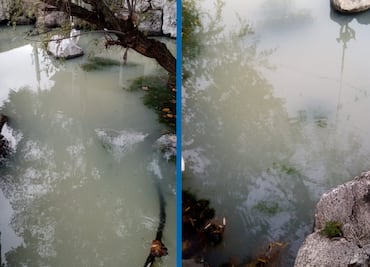 Manantial de Cuautepec emana agua sucia; vecinos alertaron de posible contaminación