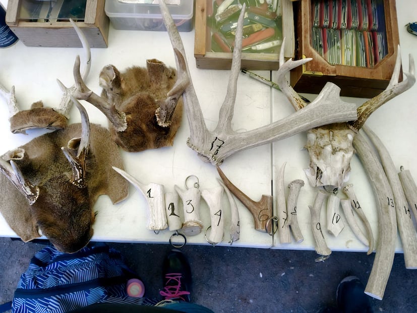 Las autoridades también decomisaron una bolsa de mano elaborada con concha de armadillo, así como piel de martucha y de coyote
