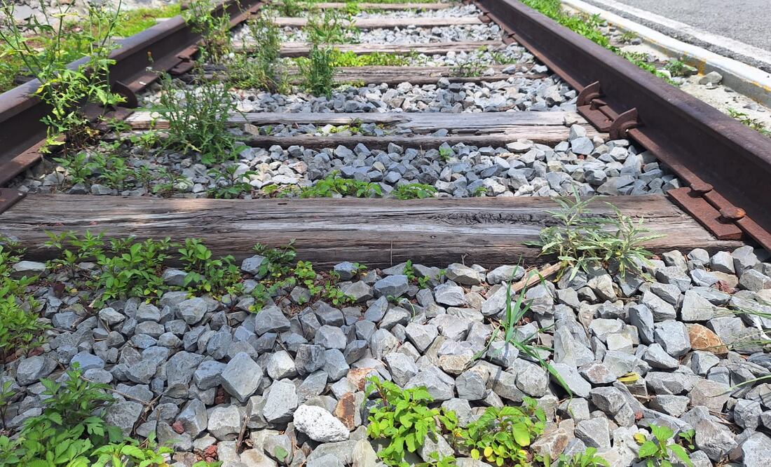 ¡El Tren Ciudad de México–Pachuca avanza! Foto: Cinthya Carbajal