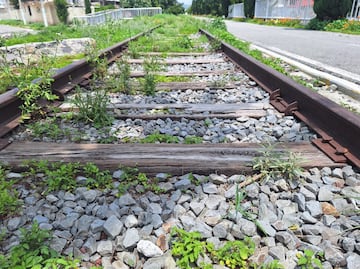 Lanzan licitación para trenes eléctricos que unirán Ciudad de México y Pachuca