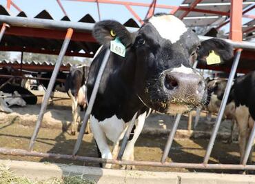 Proponen mitigar contaminación en Valle de Tizayuca, desde la Cuenca Lechera