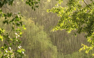 Frente frío 17 provoca descenso de temperatura y chubascos en Hidalgo