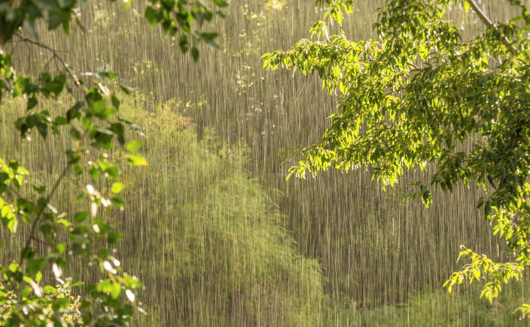 El 30 de noviembre concluye oficialmente la temporada de ciclones tropicales 2025 | Imagen ilustrativa