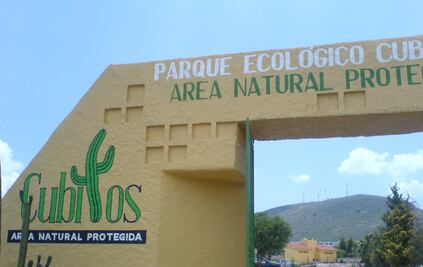 Realizan acopio de adornos navideños para Parque Ecológico Cubitos