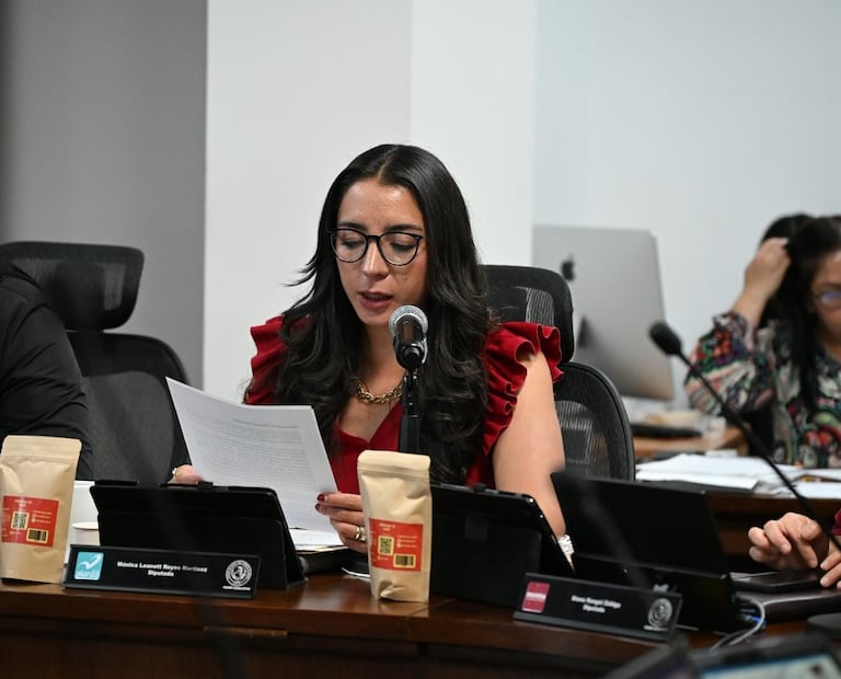Diputada Mónica Reyes Martínez