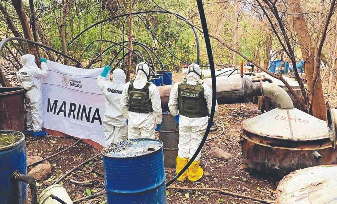 Foto: ilustrativa /Marina