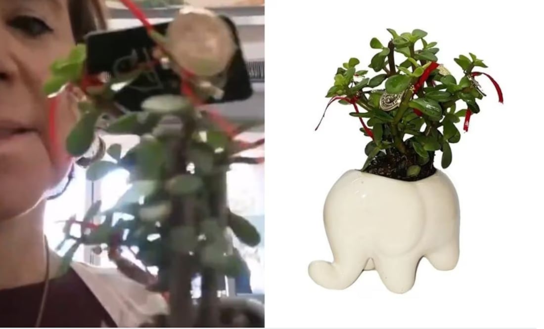 La mujer señaló que la tienda es parte del nuevo gobierno globalista | Captura de video