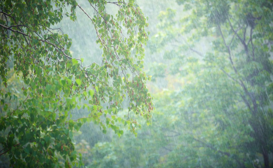 Campesinos incomunicados en Alfajayucan por crecida de la presa Yathe | Imagen ilustrativa