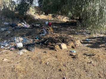 Denuncian vertedero clandestino de desechos animales en Tepojaco 