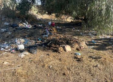 Denuncian vertedero clandestino de desechos animales en Tepojaco