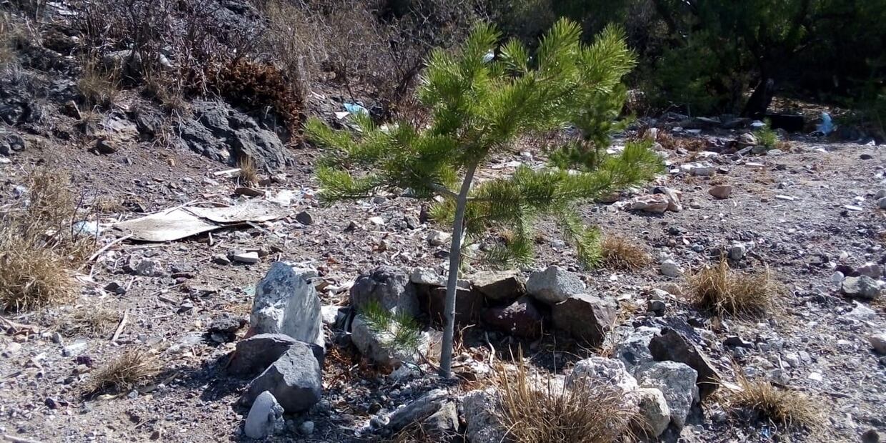 Tiraderos clandestinos destruyen ecología en el Cerro del Lobo | Foto: Arturo Torres