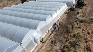 JICA y empresas japonesas exploran alianzas tecnológicas con productores de Cuautepec