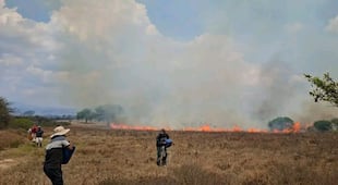 Aumentan incendios en el Valle del Mezquital; suman más de 120 en Ixmiquilpan