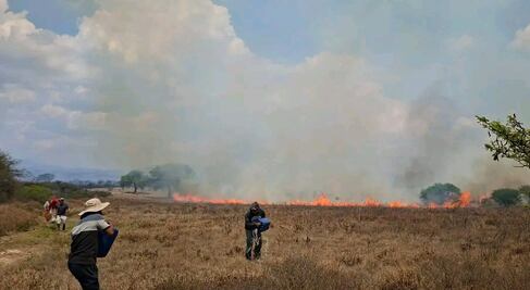 Aumentan incendios en el Valle del Mezquital; suman más de 120 en Ixmiquilpan