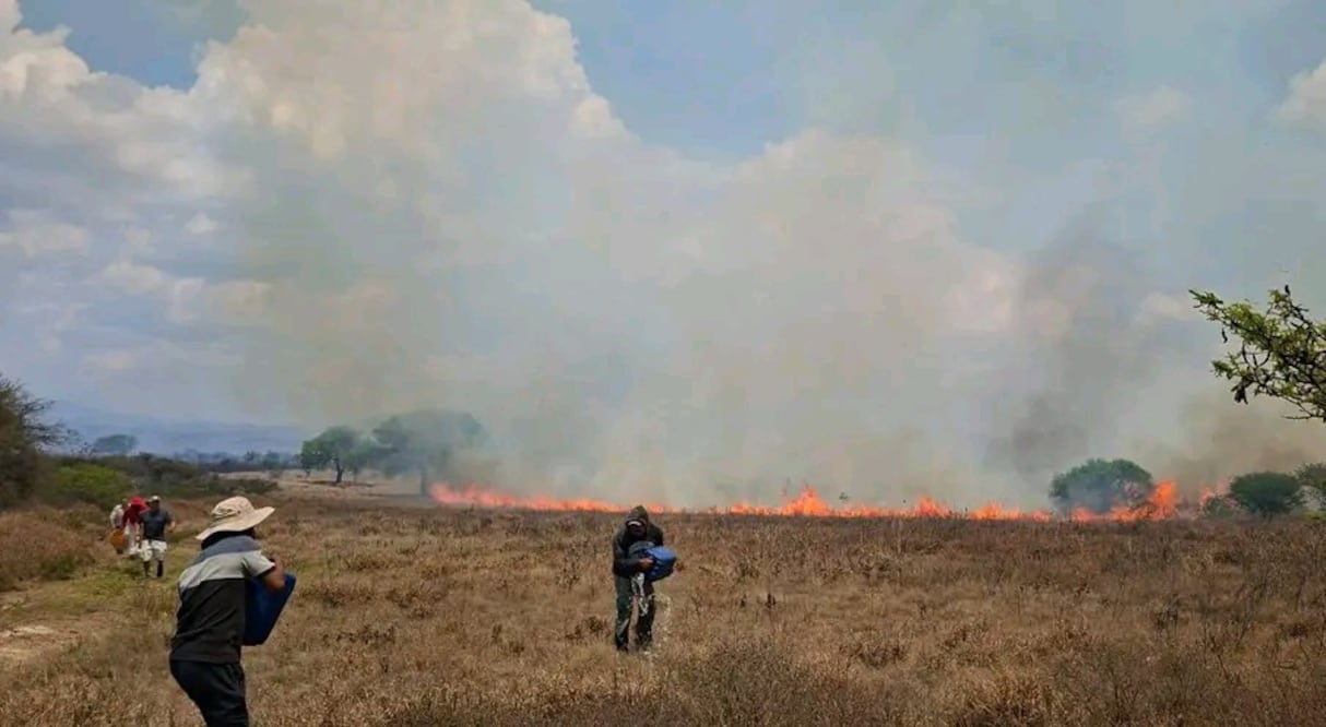Ixmiquilpan concentra más de 120 incendios en lo que va del registro, la mayoría de origen provocado | Foto: especial
