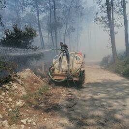 Incendios en Tenango y Zacualtipán controlados: Protección Civil