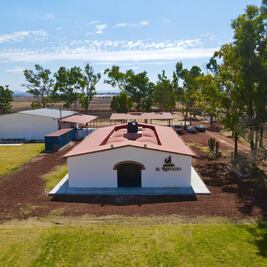 Descubre El Refugio, el viñedo hidalguense que se perfila como un nuevo destino de enoturismo cerca de CDMX