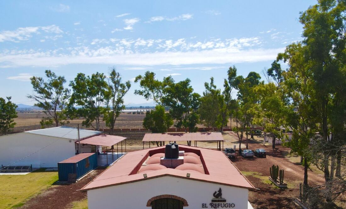¡Conoce el galardonado Jämadi Rosado y vive el enoturismo como nunca! Facebook:  Viñedo El Refugio