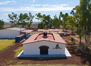 Descubre El Refugio, el viñedo hidalguense que se perfila como un nuevo destino de enoturismo cerca de CDMX