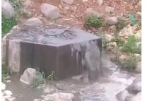 Vertimiento de aguas negras genera preocupación en Jaltocan