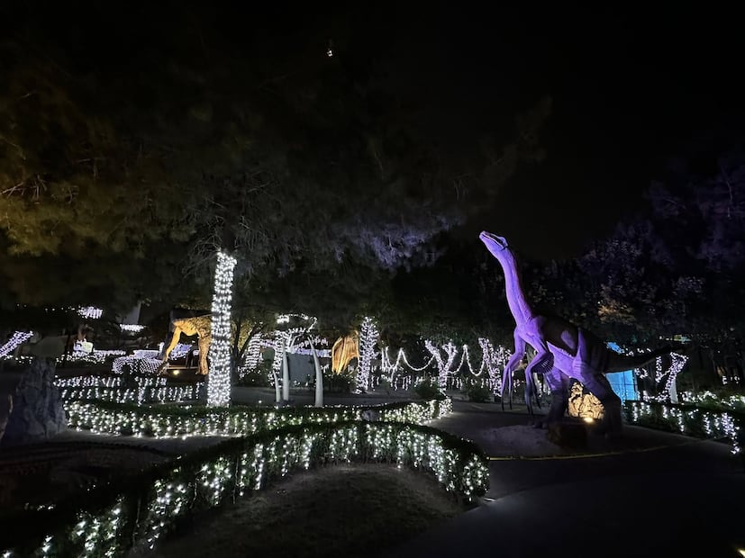 DinoParque Iluminado transforma el invierno en Pachuca con una experiencia prehistórica y navideña | Facebook: Museo Interactivo El Rehilete