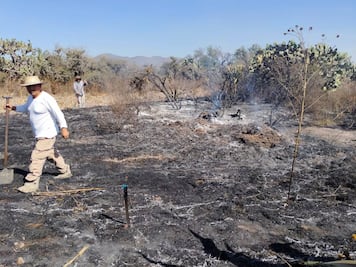 Incendio en Actopan deja cinco hectáreas afectadas y un adulto mayor lesionado