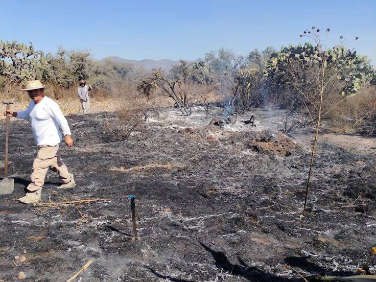 Incendio en Actopan deja cinco hectáreas afectadas y un adulto mayor lesionado