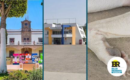 Bajo Reserva Hidalgo 24/01/25