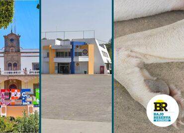 Bajo Reserva Hidalgo 24/01/25