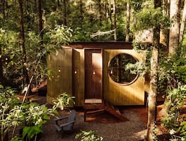 Wander Chico: un refugio entre la neblina y los bosques de Mineral del Chico