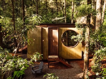 Wander Chico: un refugio entre la neblina y los bosques de Mineral del Chico